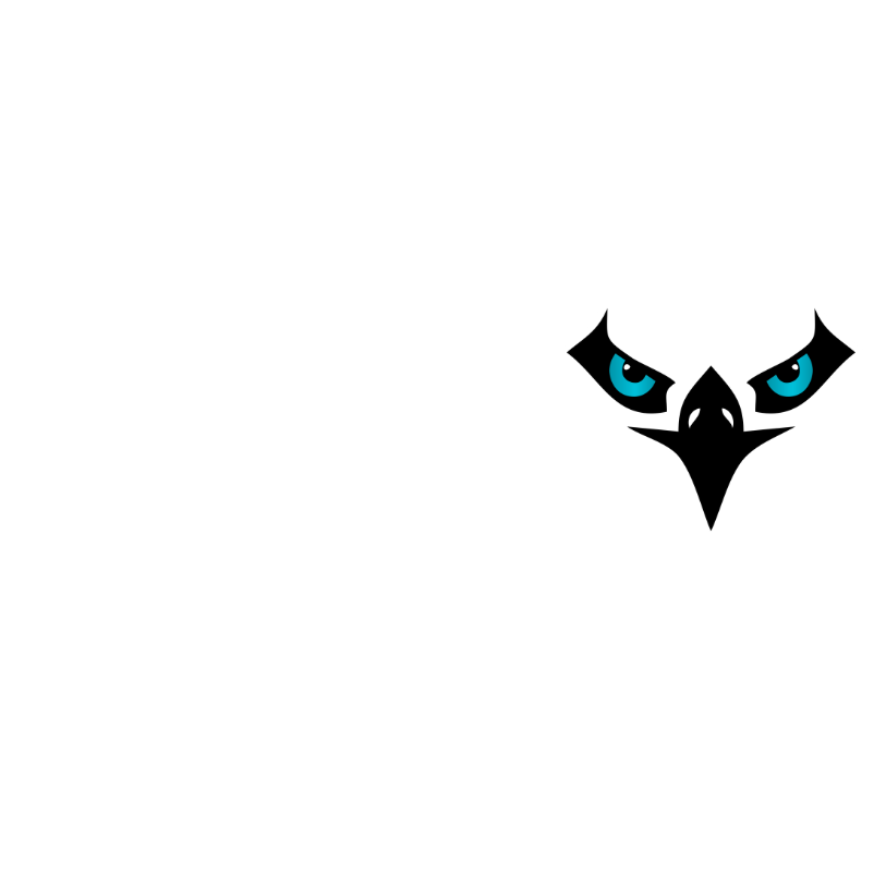 VisionNote logo